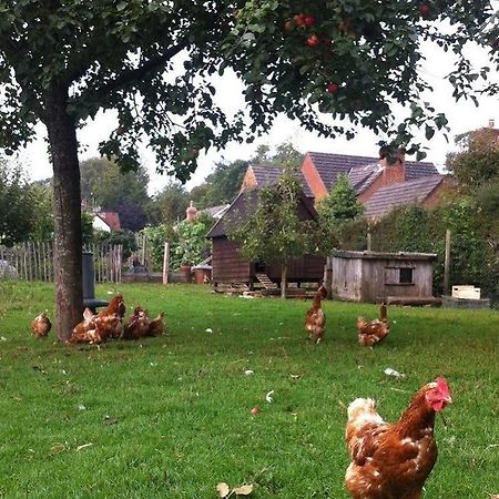 Cider Cottages Бърли Екстериор снимка